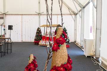 Brindis navideño del Cabildo con los medios de comunicación de Gran Canaria/TA y Acfi Press.